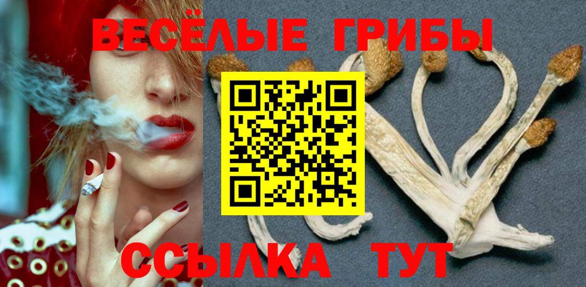 Галлюциногенные грибы Psilocybine cubensis Семёнов