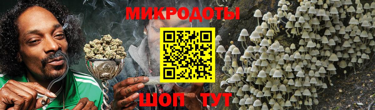 Семёнов  Галлюциногенные грибы прущие грибы  Вход с VPN 